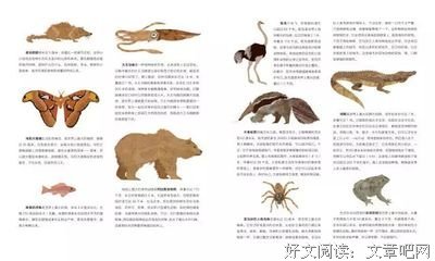 有关心用比才测量者的句子