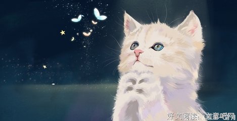 梦一场句子大全