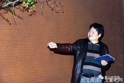 只求相看两不厌句子