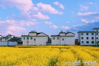 人生感悟的优美句子