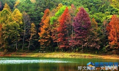 有关我要做的的句子