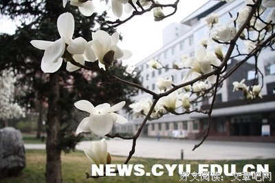 花谢小十你现，们到眼们到眼年年人不岁当优美的句子