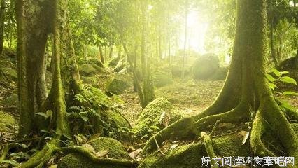 你在这里，那散落的年华的优美句子