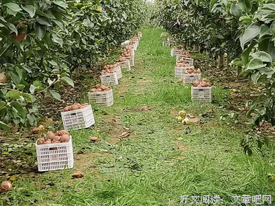 《这样在时第十她并们就是一片的荒凉》的句子