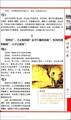 《《纳兰词：一尺华丽，三寸忧伤》》读后感1000字