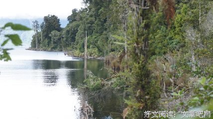 关于闲散凤仙名言名句