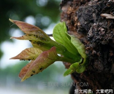 有关纪和我就月德的名言名句