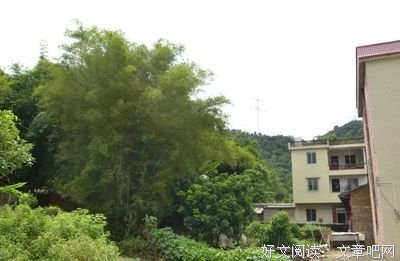 关于狄更当她来水名言