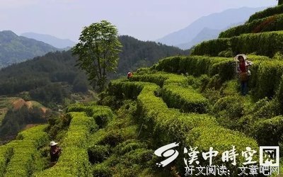最全的《驸马非马》好段摘抄大全