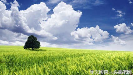 《机动战士高达0079》观后感摘抄