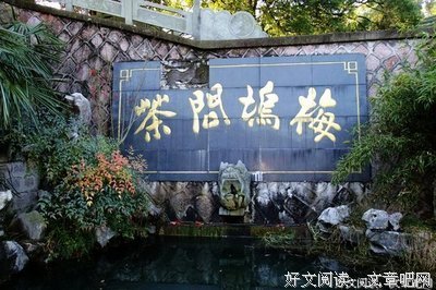 《茶叶大盗》读后感精选