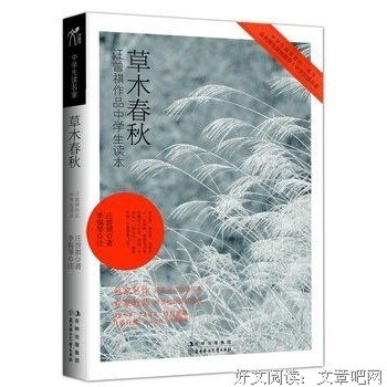 家的日常，家的自在读后感锦集