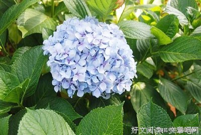 关于望尘莫及的格言