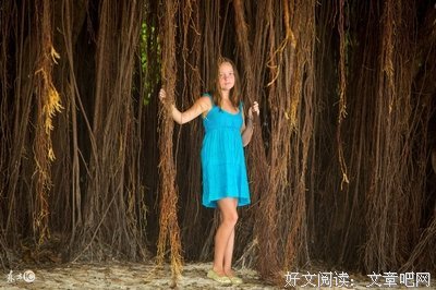 哈佛减压课读后感1000字