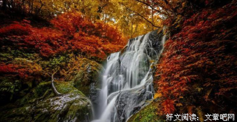 一点一点、等待花开经典的句子