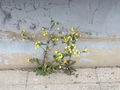 构建之法（第二版）经典读后感有感
