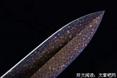 视觉动物经典读后感有感