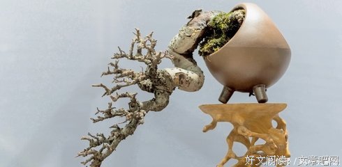 关于急于求成的名句摘抄