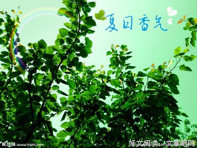 《夏日香气》观后感摘抄