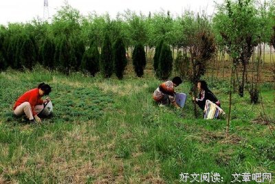 《人类本能》观后感100字