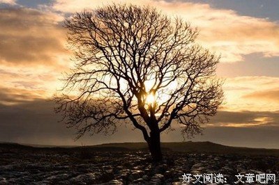 遥远的地球之歌经典读后感有感