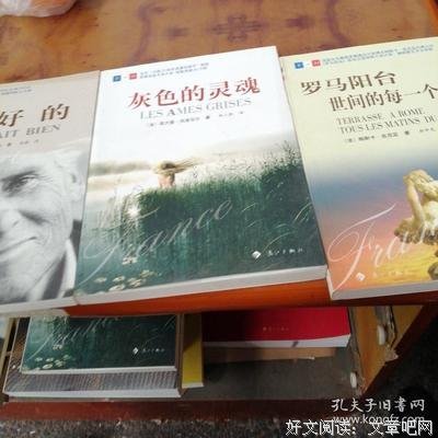 《灰色的灵魂》观后感精选