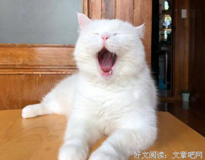 寂寞深处花开盛句子