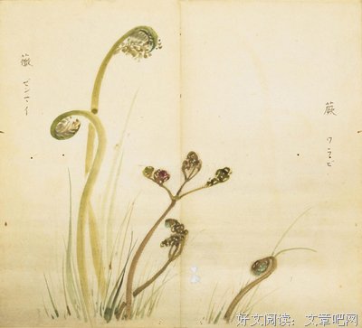 有关薄言的句子