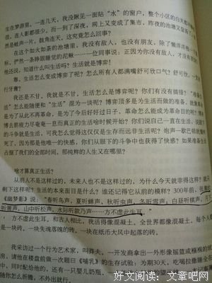王开岭的优美句子