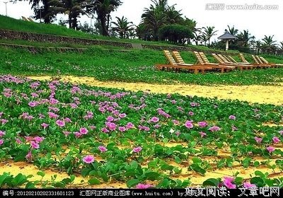 天蓝草绿句子