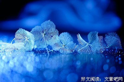 普通的句集经典名句