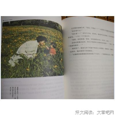 有关龙再了台 《野火》的句子
