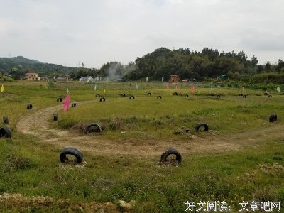 有关绿荫青子的句子
