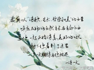 有关雯的句子