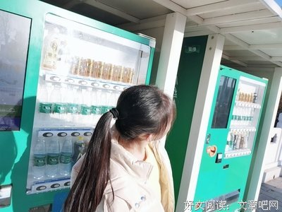 关于何处暖阳不倾城的句子