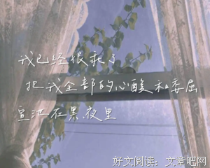 《流年忆》的句子