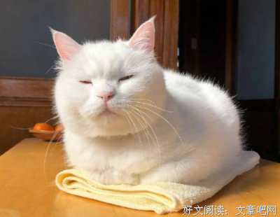 若繁花，落的句子