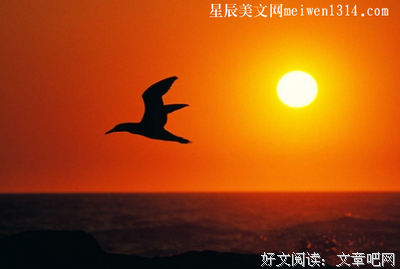 有关生活的句子
