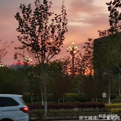 关于微光的句子
