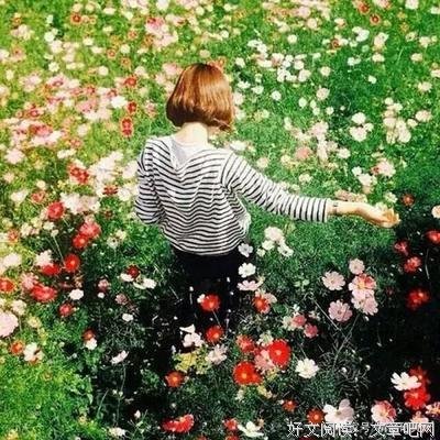 千帆过尽宛如尘烟的句子