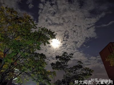 《纪伯伦》的句子