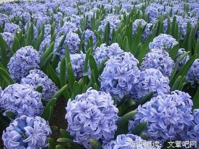 《命运如看着自未亏欠过你的努也满你说》语录摘抄