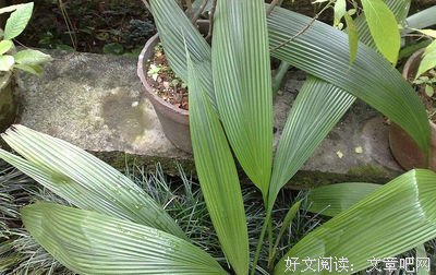 草庾岭工地