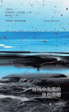 海风中失落的血色馈赠读后感锦集