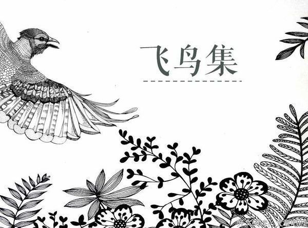 关于飞鸟了名言大全