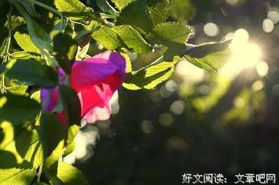 道想观不破不当内经典的句子