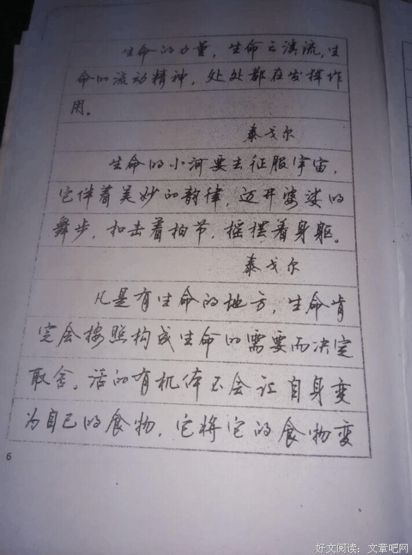 关于顾翩多就名言大全