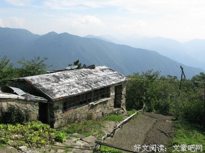 【今日树洞】“虽然难以启齿，但是我真后悔生下孩子”