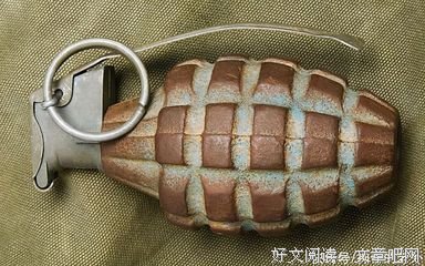 海边的露露的读后感大全