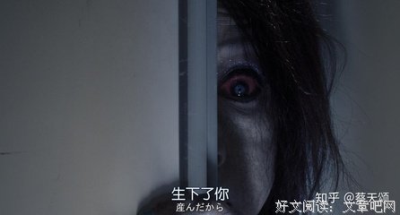《怪谈新耳袋：幽灵公寓》的观后感大全